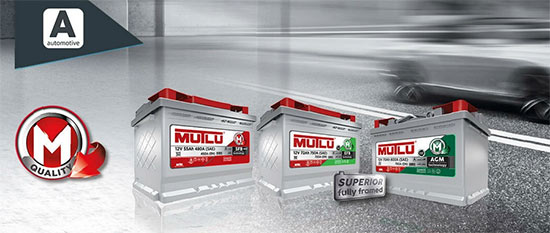 mutluss