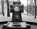На Аскольдовій могилі Український цвіт